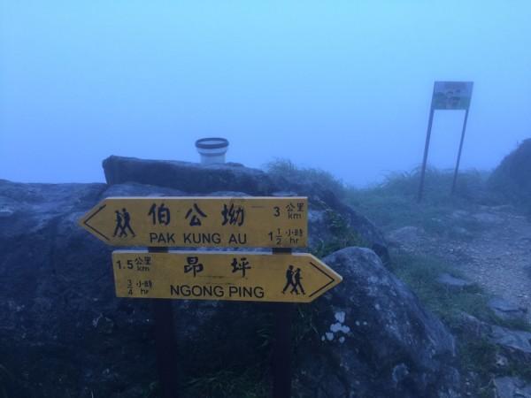 榆阳法院拍卖中国移动15991201777手机号码使用权！
